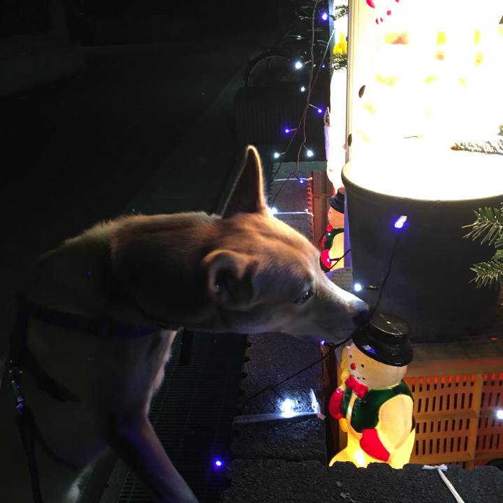 D20e837b ca1e 4824 842b c08720fb9c92