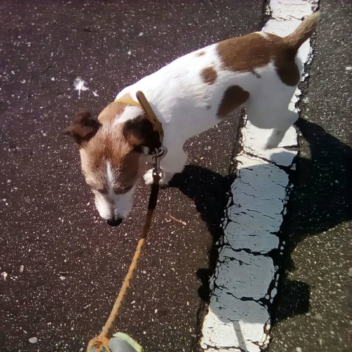 D20e8d6a ff67 415f 8475 3e98e22e6369