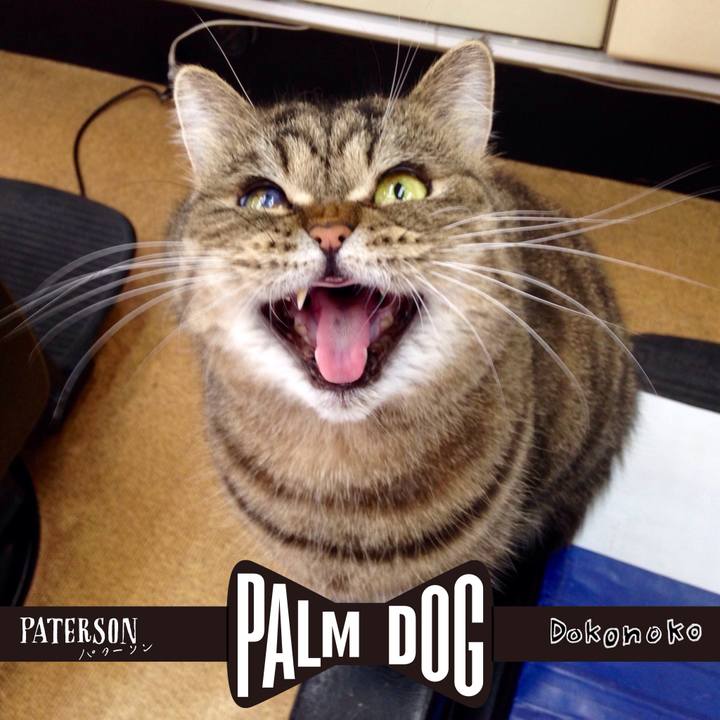 D20ea90f 2647 4af5 b796 df6a9c9362fc