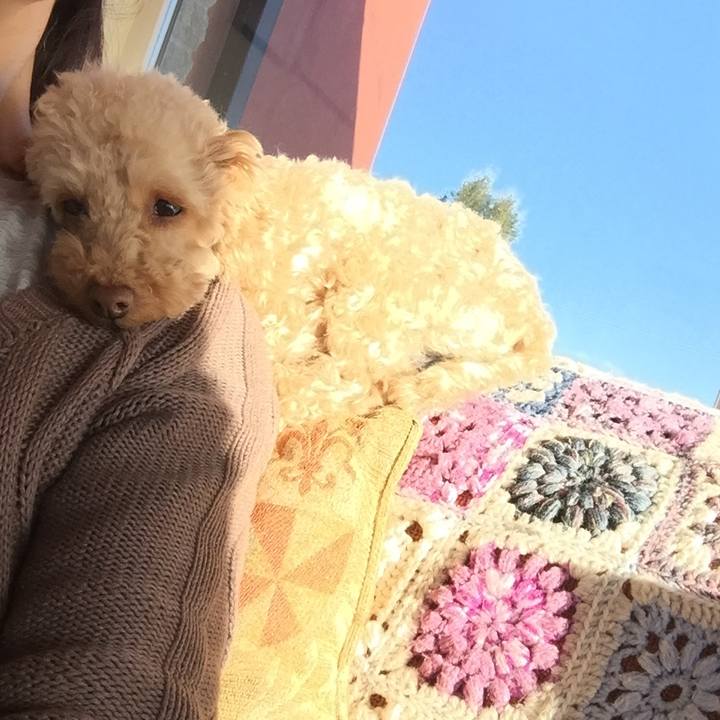 D20eb4f9 56e7 414d 8f57 b3ce84373cef