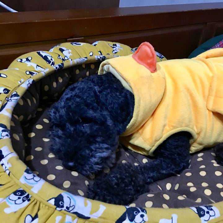 D20ee719 2e77 475e 9a68 5a0690cf6b67