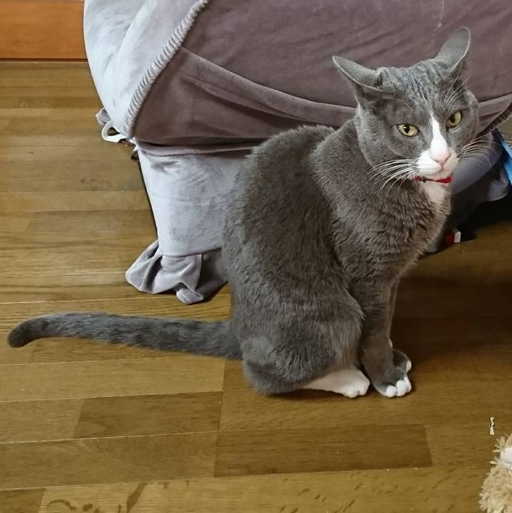 D20f56ce ae13 4c05 aecc 7bc069a3356e