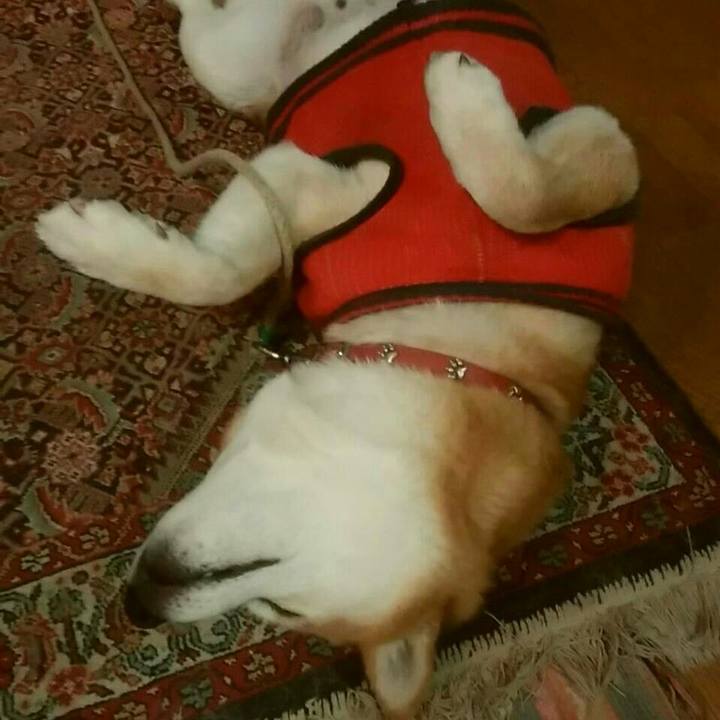 D20fb35a b032 415d 8ddc 841da2f2badb