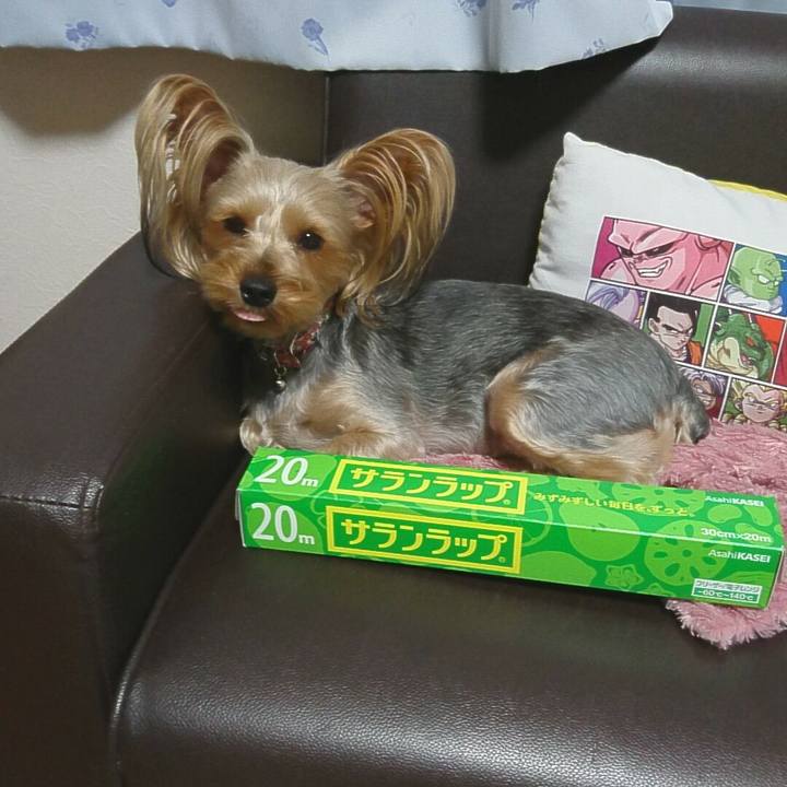 D210130d 7f1f 4c64 bf65 80f09ceae6e5