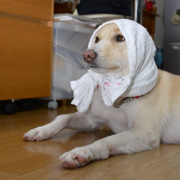 D2103031 65d0 4078 af3c ab0bb7b6bdad