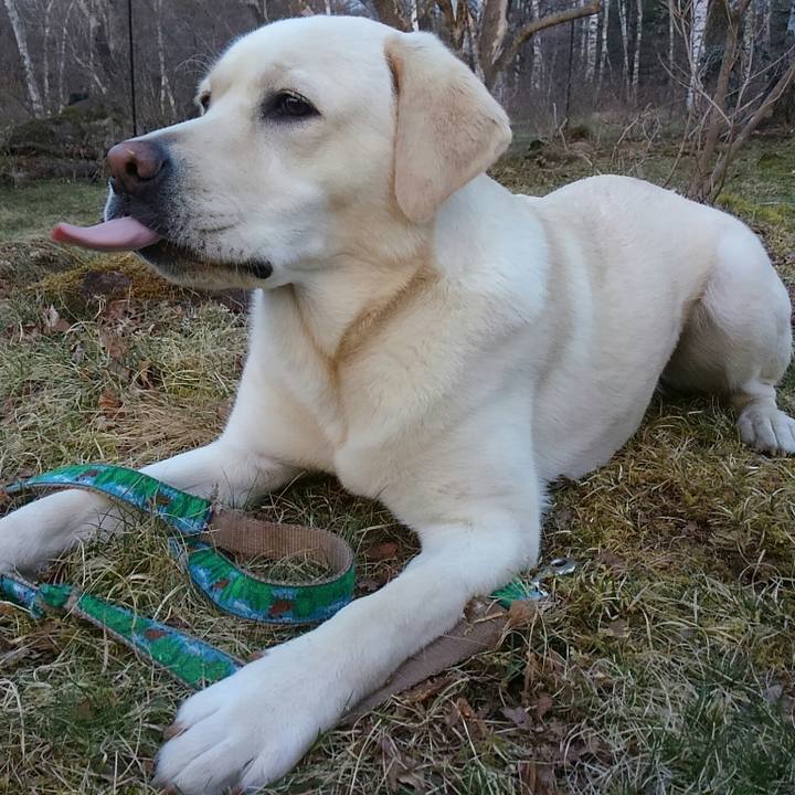 D2105a4b 9794 4786 8a77 0a199d38c247