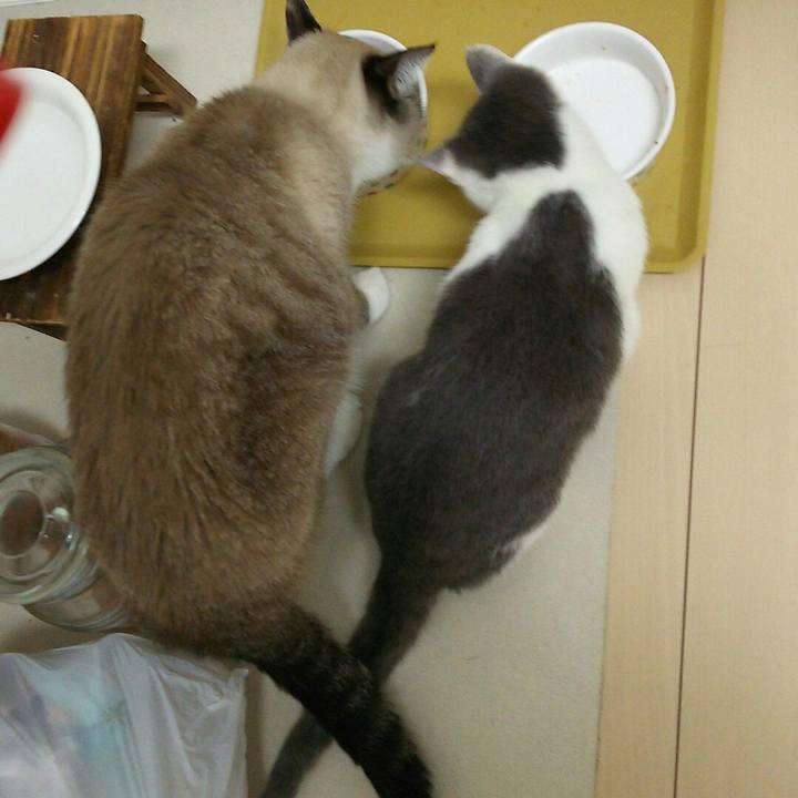 D210ecc7 aa47 42e7 8b94 edd242c2914f