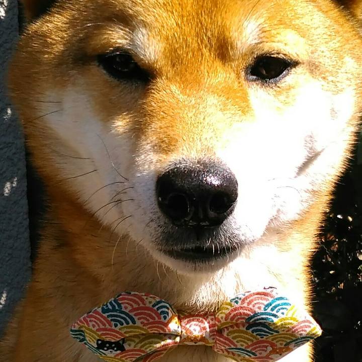 D2117706 a5f1 4333 b2f6 773101867826