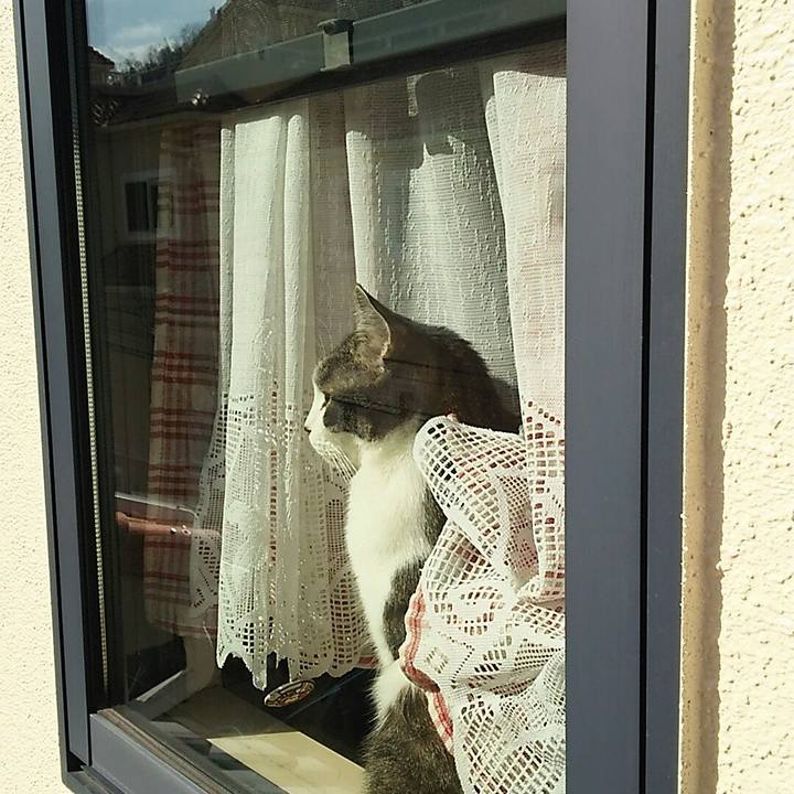 D211882e 98ca 4cf5 b2e5 bdbff789f87d