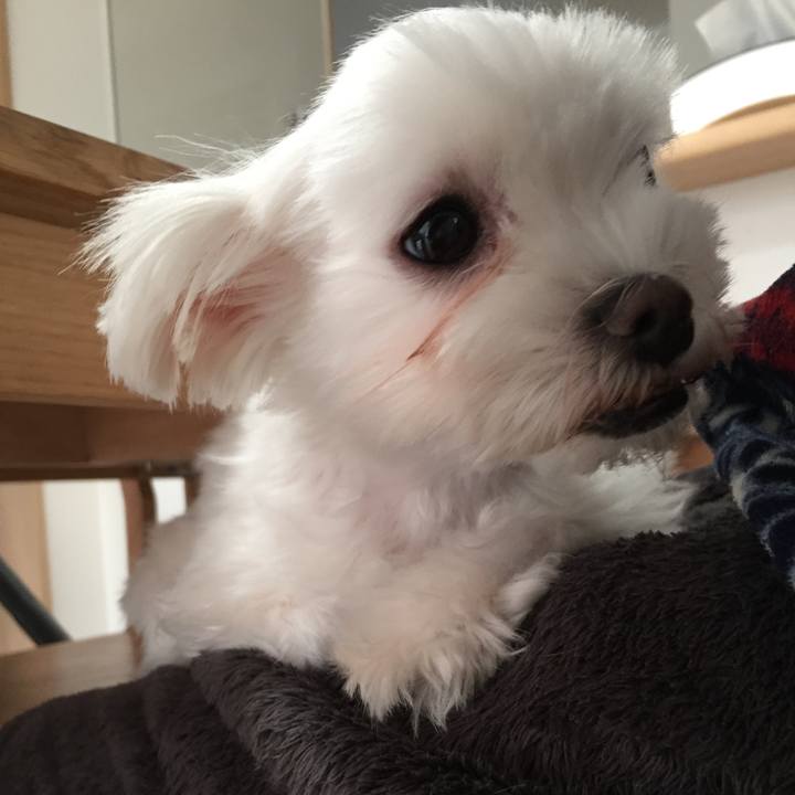 D21262ba c626 401b 98ea 4199e543287f