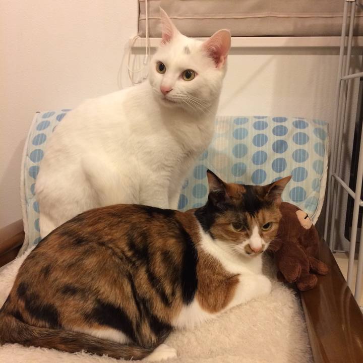 D21284fb fce9 44a8 a711 7cace65fc742