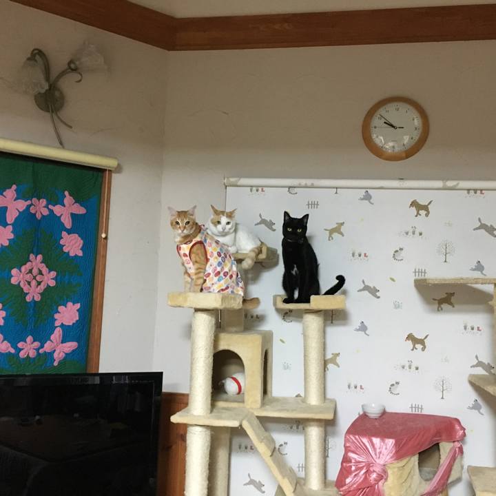 D2135513 b3bc 40ee 9ba7 586473efb9af