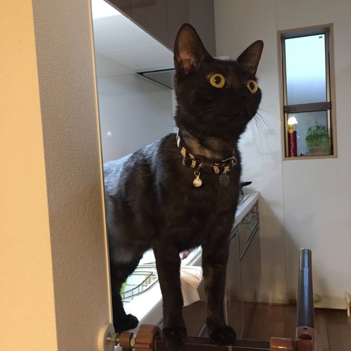 D2135640 902a 4682 89fe ea803ffe5b5a