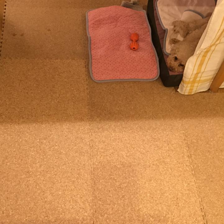 D2138af7 2365 4ee0 b42d 366e45e62300