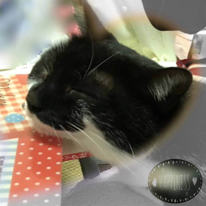 D2144874 17ae 46c9 966e 76b50e8b7196