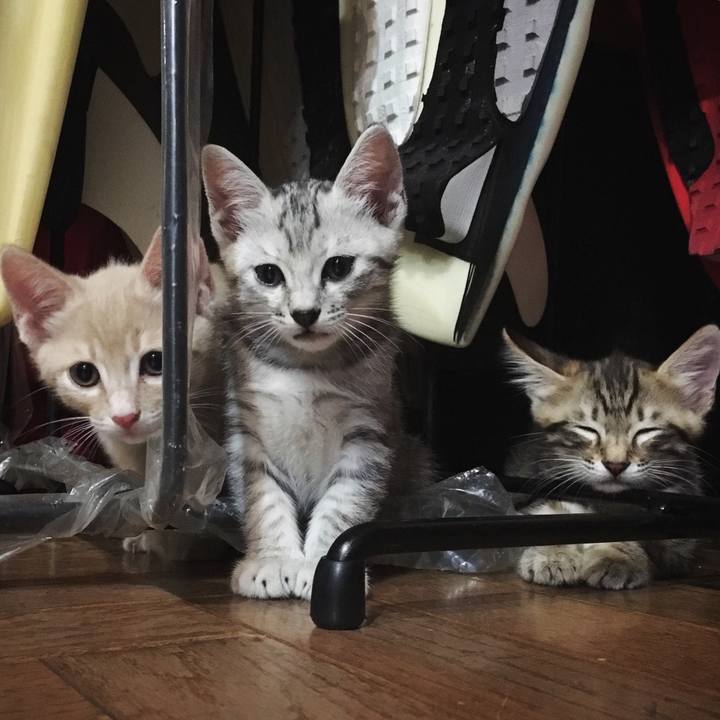 D21549d3 99ec 46f3 ad6f 4d19583e784a