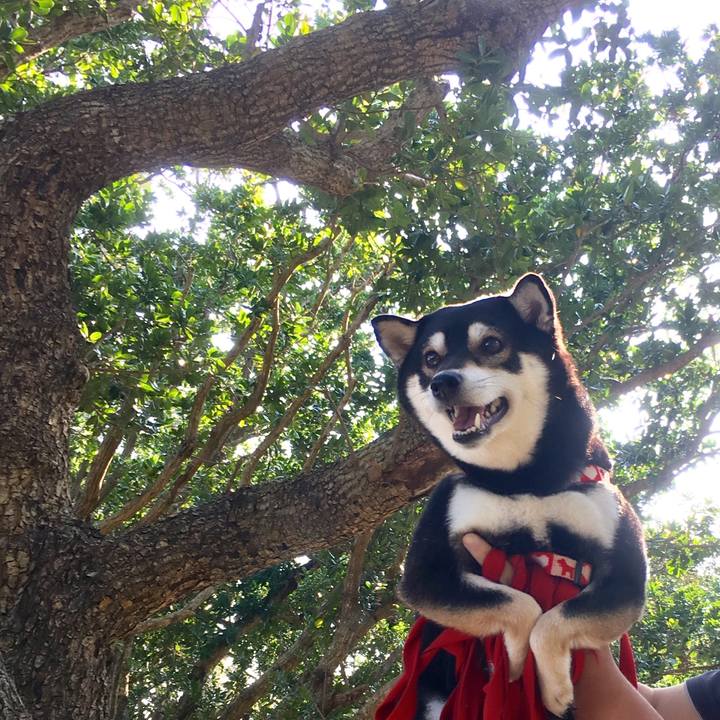 D215b4c0 f280 4ff4 940c a38b513501dc