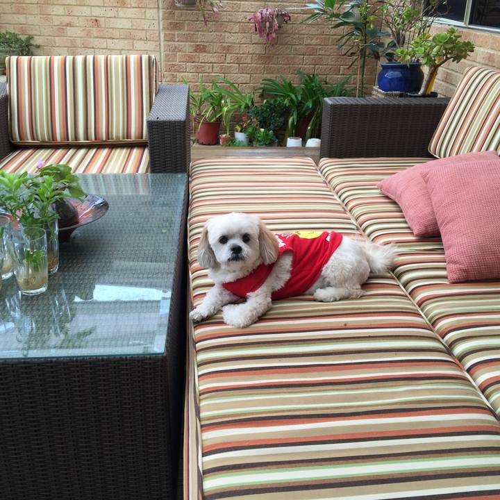 D2162f5b e1a6 434a 9e19 2eac6917b6ef