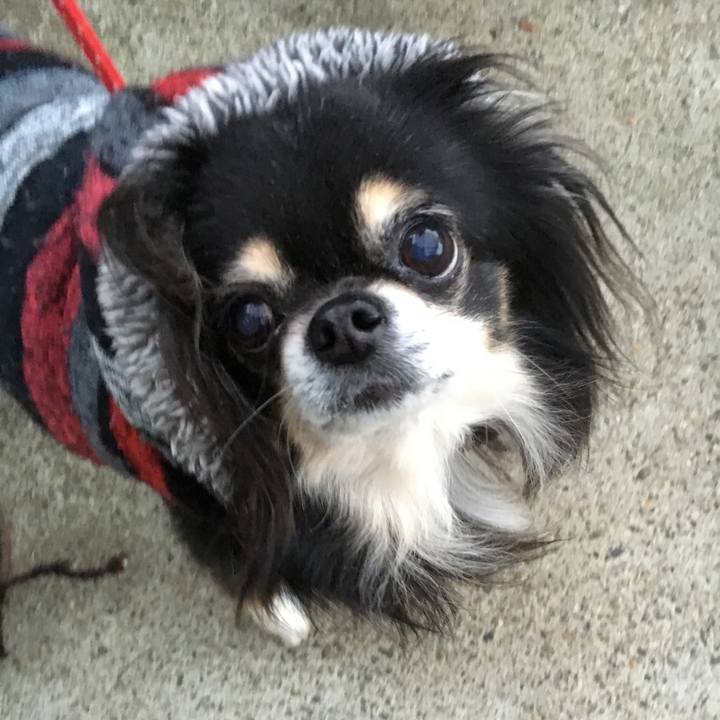 D216783c 3df6 4206 822c dc4be3a5c23b