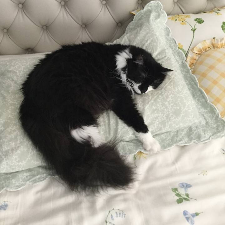 D216ff07 843e 448a 831d a410b2028128