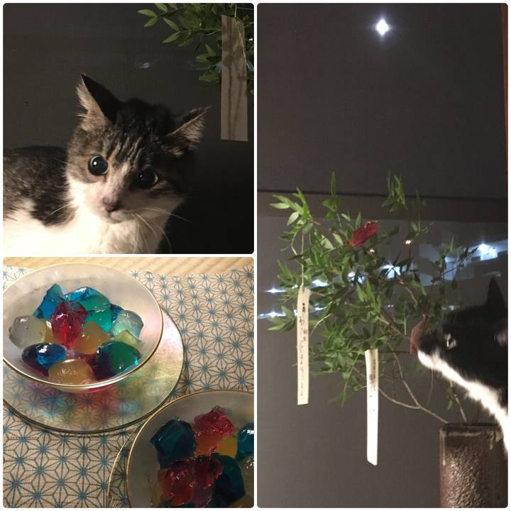 D2185851 3c0e 41bb 989b 8eecf36642ea