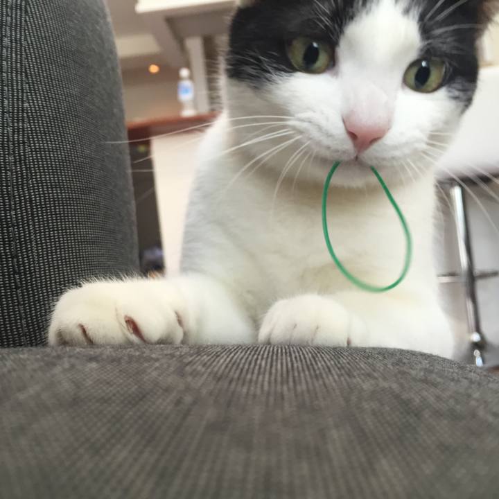 D2185fe4 9e2b 4b59 b940 cb16541b2857