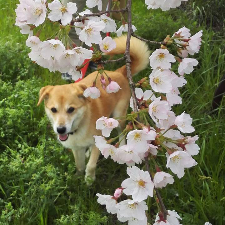 D21865db f3a9 4150 a205 4c3f9577f997