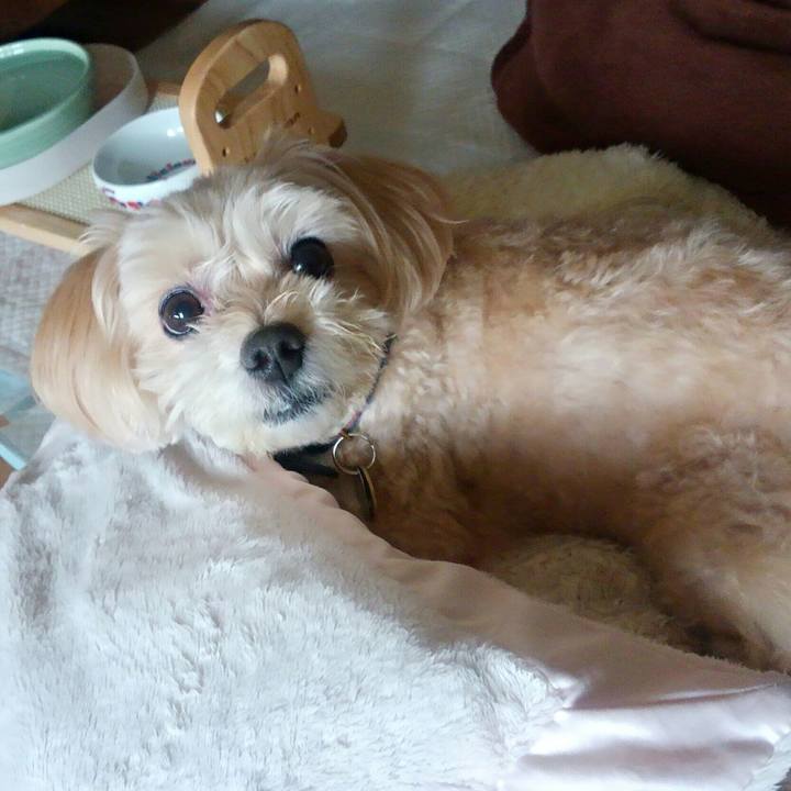 D2187de1 c2bd 435f 83a6 4f20ef2b94ff