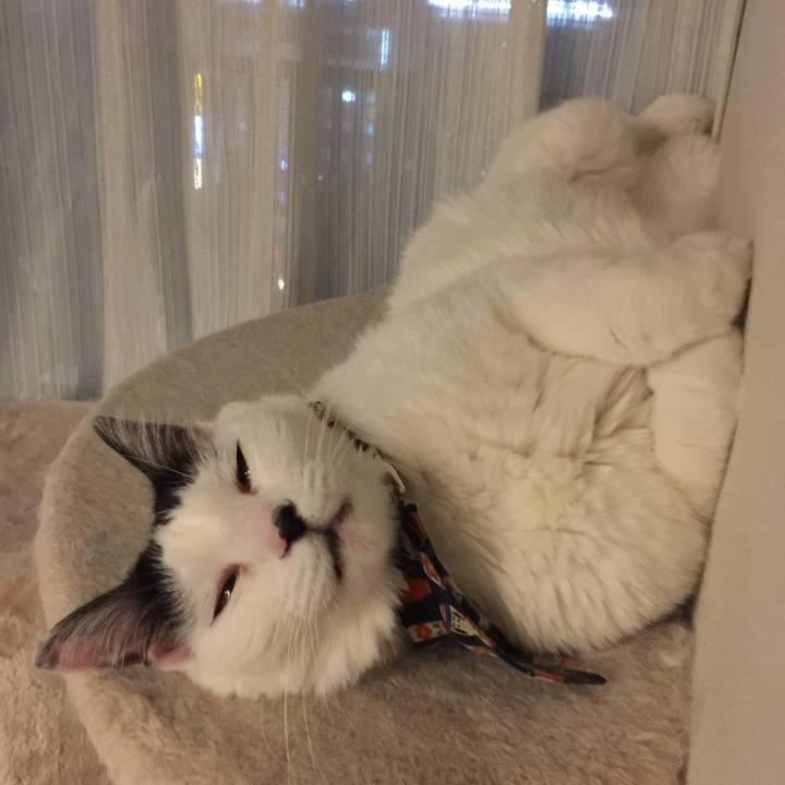 D2188be7 1c2f 45f0 97c6 c2496b282051