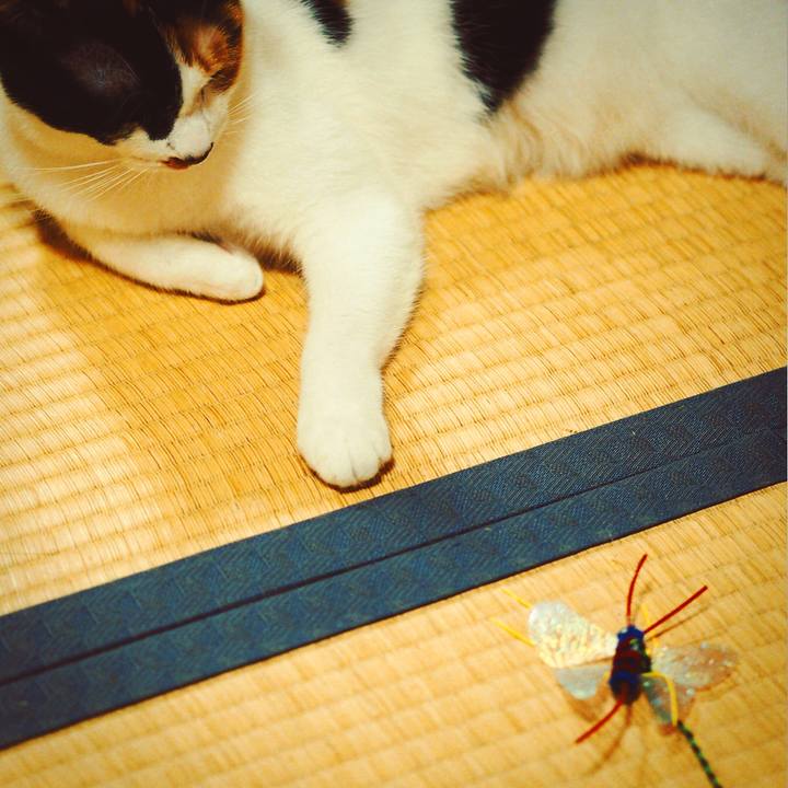 D219910c e403 4f30 b8c2 28926c2f4a3f