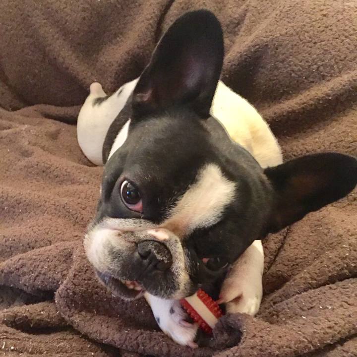 D21a37c8 18a0 43f1 abc4 9dbcf05120af