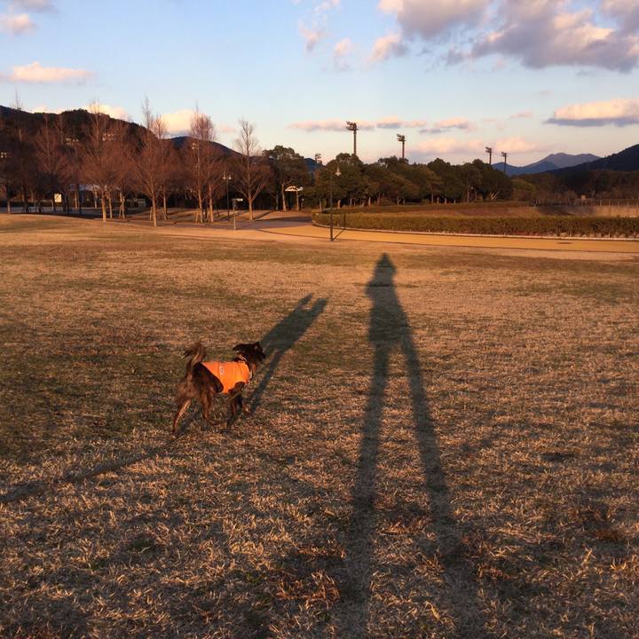 D21ac1f4 9bf9 4091 8004 d34bac0a8527