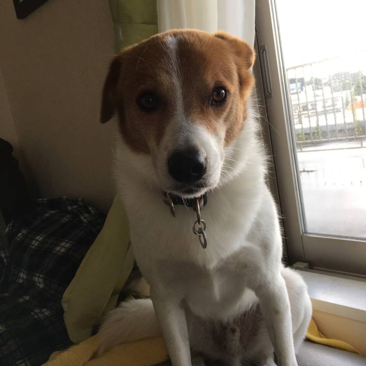 D21c59bb 1a5f 45dc 8000 4c95aa586170