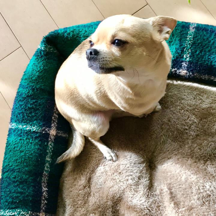 D21c72a1 5c77 4e67 b81d 159713addf54