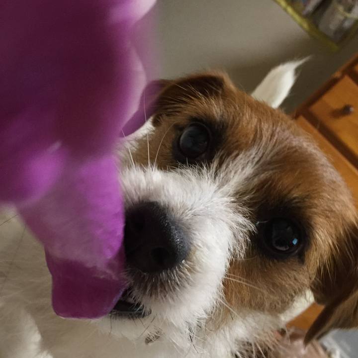 D21ca1b9 44bb 4c18 9415 318f5ac837e5