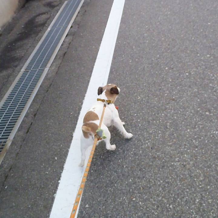 D21e0465 9cd8 43eb 8105 f1e6be216bc0