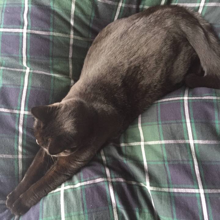 D21e8f8a 08b1 4dcb a80f e173264eb318