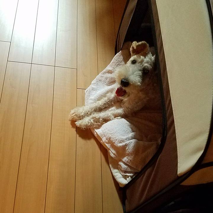 D21f4641 efe5 4ce1 a9f2 2e184ae8a1dd