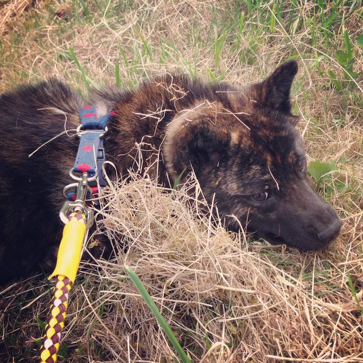 D21fd2e9 2cd7 4aa5 945a d0d65c59f4ba