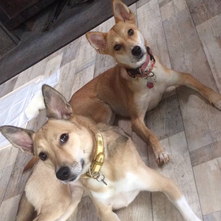 D2201018 528b 45f3 8ce4 973d75e55135