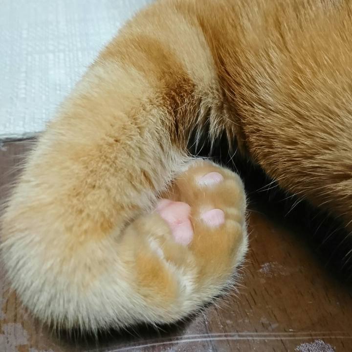 D220e572 47d6 4a5c ab29 5b40b64795cb