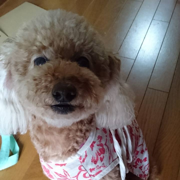 D221cf1d 8ec0 475f aa24 3da8a562fd7f