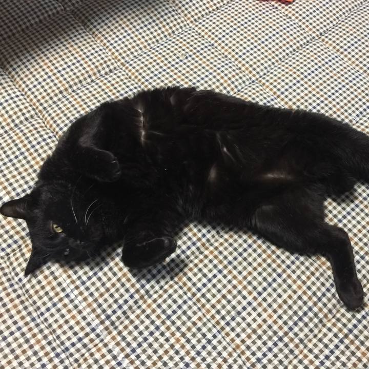 D22303bb 7b2d 441c ba43 250d61558a98