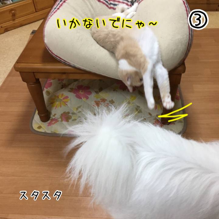 D2233211 e460 4f84 a7d7 1a75d925f095