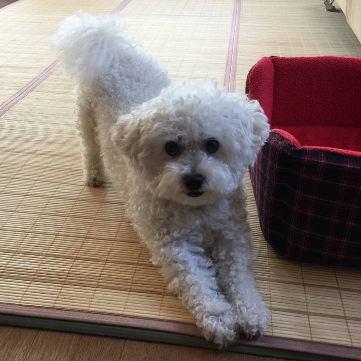 D2235b93 2044 46e2 b7f0 81f7a7977cb4