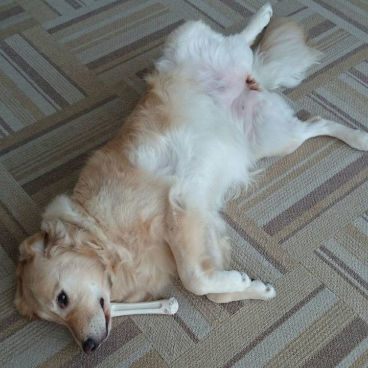 D224debe 5329 4ace 9cba c8c894ce26a9