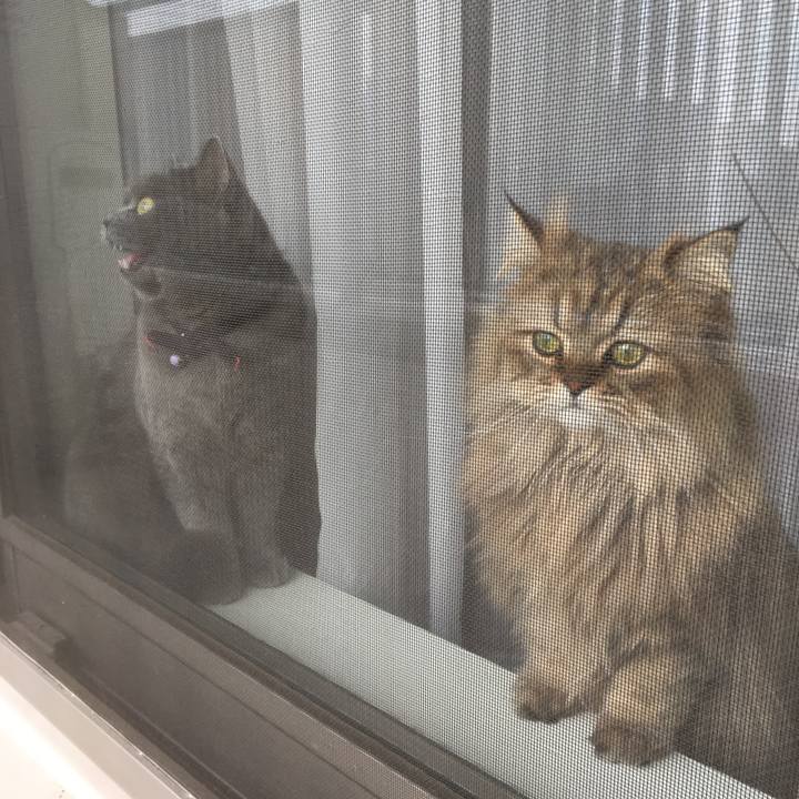 D2251e4b 212b 4051 9dbe 142f2460d0e7