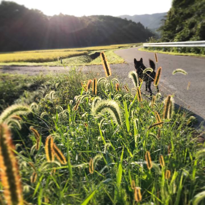 D22527b0 e127 44d0 b889 c6f30bb32446