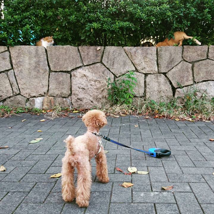 D225fcac d7b6 4097 9569 aad9f46fdeb9