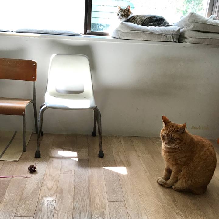 D2263b91 f25d 418d 8094 1bdfadcd5563